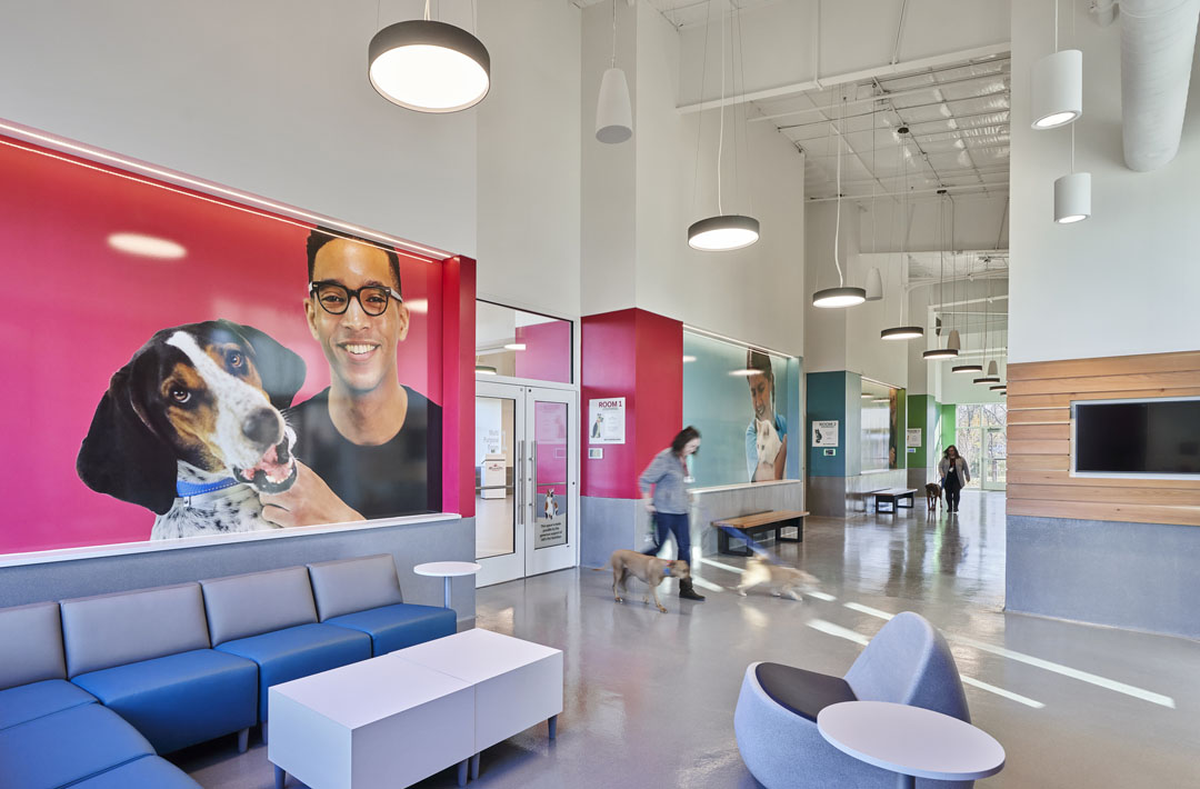 wayside animal shelter interior 